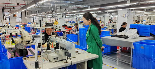 藍山委員提案助推產業大發展，央廣網聚焦社會經濟咨詢服務